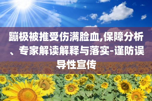 蹦極被推受傷滿臉血,保障分析、專家解讀解釋與落實(shí)-謹(jǐn)防誤導(dǎo)性宣傳