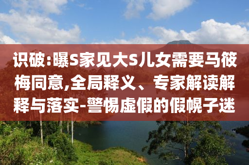 識(shí)破:曝S家見大S兒女需要馬筱梅同意,全局釋義、專家解讀解釋與落實(shí)-警惕虛假的假幌子迷