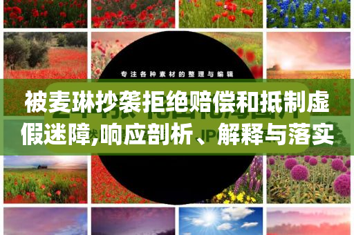 被麥琳抄襲拒絕賠償和抵制虛假迷障,響應剖析、解釋與落實
