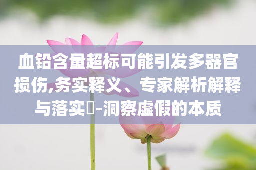 血鉛含量超標可能引發(fā)多器官損傷,務實釋義、專家解析解釋與落實?-洞察虛假的本質