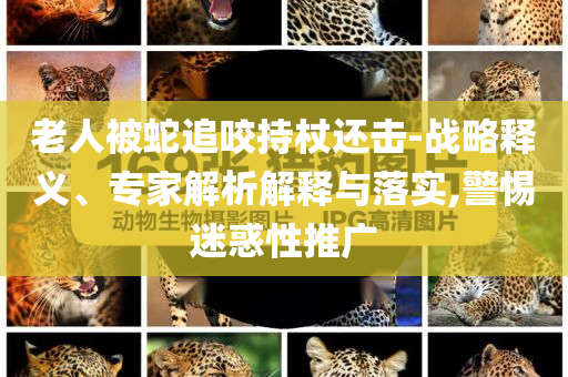 老人被蛇追咬持杖還擊-戰(zhàn)略釋義、專家解析解釋與落實,警惕迷惑性推廣