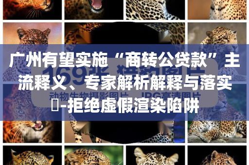 廣州有望實施“商轉(zhuǎn)公貸款”主流釋義、專家解析解釋與落實?-拒絕虛假渲染陷阱
