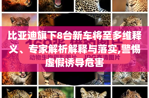 比亞迪旗下8臺新車將至多維釋義、專家解析解釋與落實,警惕虛假誘導(dǎo)危害