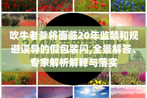 吹牛老爹將面臨20年監(jiān)禁和規(guī)避誤導(dǎo)的假包裝閃,全景解答、專家解析解釋與落實