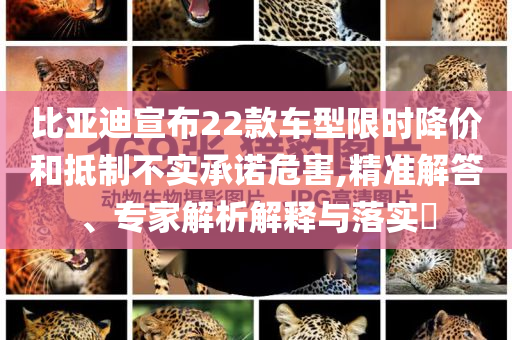 比亞迪宣布22款車型限時降價和抵制不實承諾危害,精準(zhǔn)解答、專家解析解釋與落實?