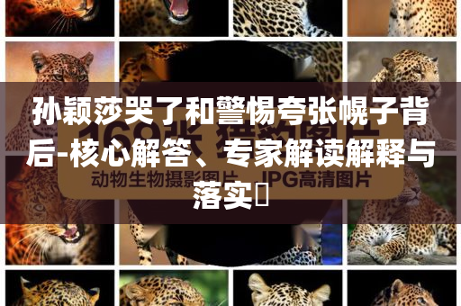 孫穎莎哭了和警惕夸張幌子背后-核心解答、專家解讀解釋與落實(shí)?