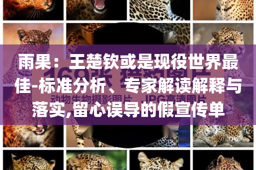 雨果：王楚欽或是現(xiàn)役世界最佳-標(biāo)準(zhǔn)分析、專家解讀解釋與落實,留心誤導(dǎo)的假宣傳單