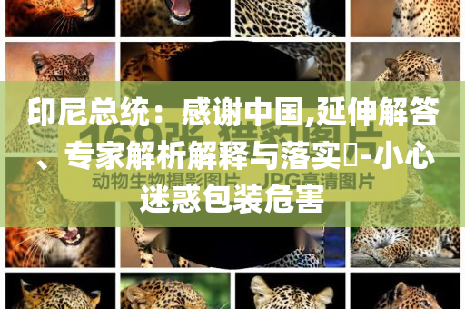 印尼總統(tǒng)：感謝中國(guó),延伸解答、專(zhuān)家解析解釋與落實(shí)?-小心迷惑包裝危害