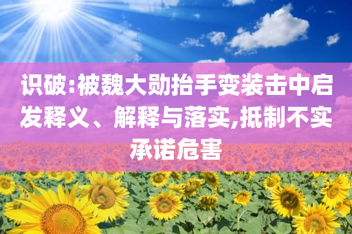 識(shí)破:被魏大勛抬手變裝擊中啟發(fā)釋義、解釋與落實(shí),抵制不實(shí)承諾危害