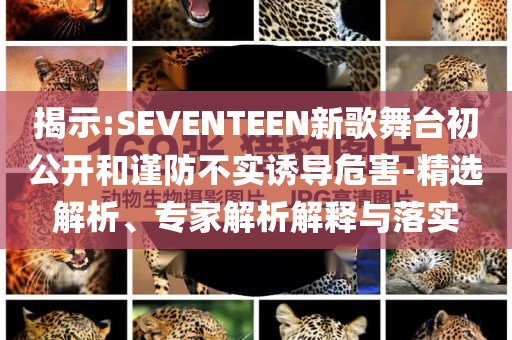 揭示:SEVENTEEN新歌舞臺(tái)初公開和謹(jǐn)防不實(shí)誘導(dǎo)危害-精選解析、專家解析解釋與落實(shí)