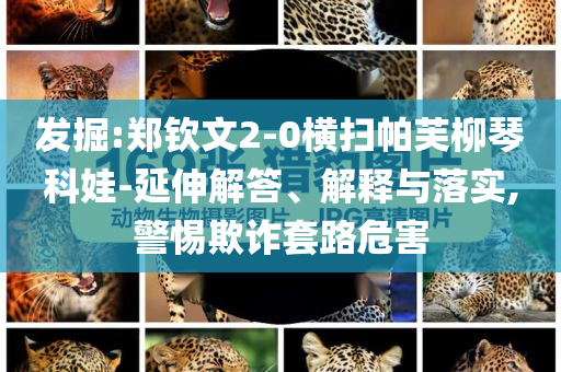 發(fā)掘:鄭欽文2-0橫掃帕芙柳琴科娃-延伸解答、解釋與落實,警惕欺詐套路危害