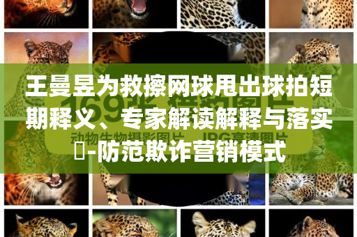 王曼昱為救擦網(wǎng)球甩出球拍短期釋義、專家解讀解釋與落實(shí)?-防范欺詐營(yíng)銷模式