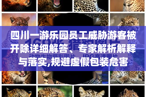 四川一游樂(lè)園員工威脅游客被開(kāi)除詳細(xì)解答、專家解析解釋與落實(shí),規(guī)避虛假包裝危害