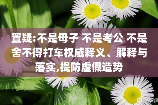 置疑:不是母子 不是考公 不是舍不得打車權(quán)威釋義、解釋與落實(shí),提防虛假造勢
