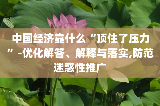 中國經(jīng)濟(jì)靠什么“頂住了壓力”-優(yōu)化解答、解釋與落實(shí),防范迷惑性推廣