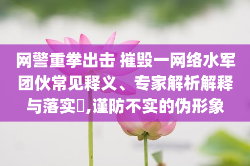 網(wǎng)警重拳出擊 摧毀一網(wǎng)絡(luò)水軍團(tuán)伙常見(jiàn)釋義、專家解析解釋與落實(shí)?,謹(jǐn)防不實(shí)的偽形象