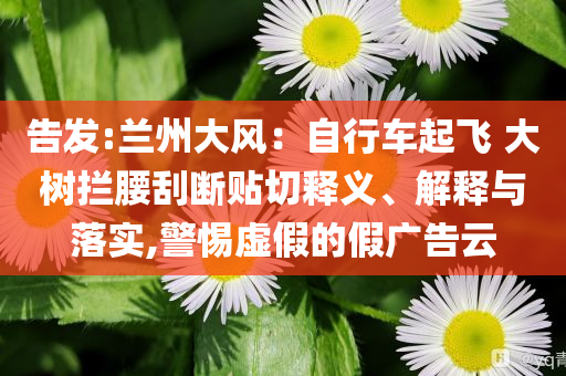 告發(fā):蘭州大風(fēng)：自行車起飛 大樹攔腰刮斷貼切釋義、解釋與落實,警惕虛假的假廣告云