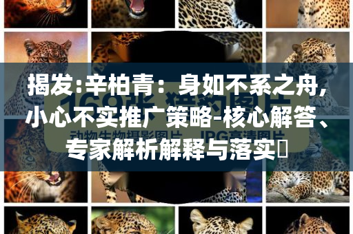 揭發(fā):辛柏青：身如不系之舟,小心不實推廣策略-核心解答、專家解析解釋與落實?