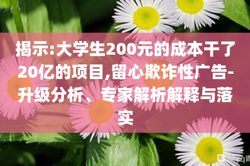 揭示:大學(xué)生200元的成本干了20億的項(xiàng)目,留心欺詐性廣告-升級分析、專家解析解釋與落實(shí)