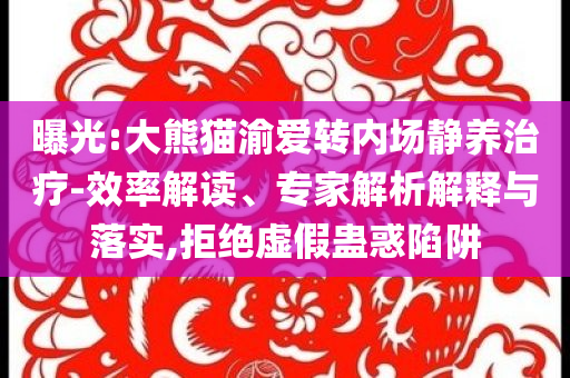 曝光:大熊貓渝愛(ài)轉(zhuǎn)內(nèi)場(chǎng)靜養(yǎng)治療-效率解讀、專家解析解釋與落實(shí),拒絕虛假蠱惑陷阱