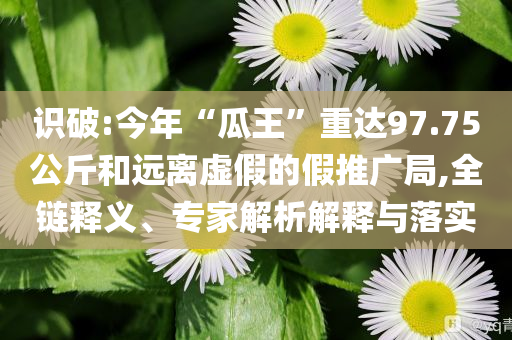 識(shí)破:今年“瓜王”重達(dá)97.75公斤和遠(yuǎn)離虛假的假推廣局,全鏈釋義、專家解析解釋與落實(shí)