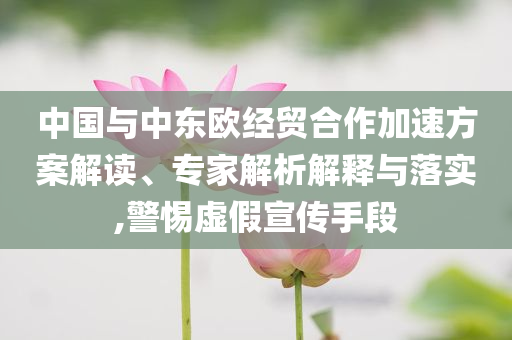 中國與中東歐經(jīng)貿(mào)合作加速方案解讀、專家解析解釋與落實,警惕虛假宣傳手段