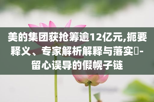 美的集團(tuán)獲搶籌逾12億元,扼要釋義、專家解析解釋與落實(shí)?-留心誤導(dǎo)的假幌子鏈