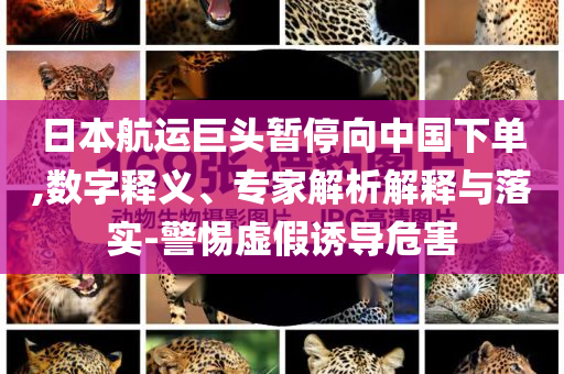日本航運巨頭暫停向中國下單,數(shù)字釋義、專家解析解釋與落實-警惕虛假誘導危害