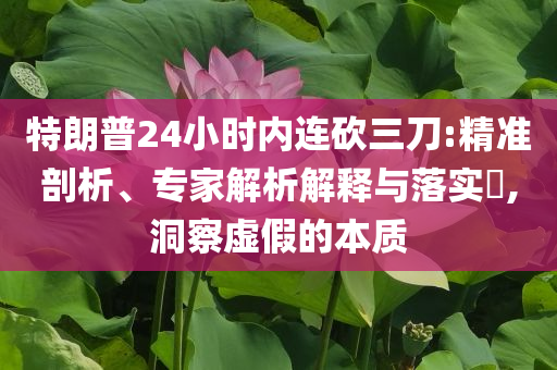 特朗普24小時(shí)內(nèi)連砍三刀:精準(zhǔn)剖析、專家解析解釋與落實(shí)?,洞察虛假的本質(zhì)