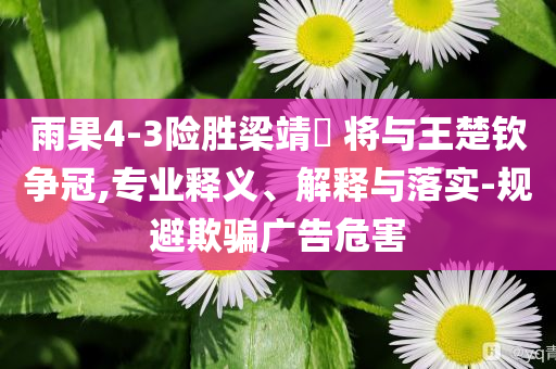 雨果4-3險勝梁靖崑 將與王楚欽爭冠,專業(yè)釋義、解釋與落實-規(guī)避欺騙廣告危害