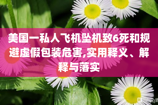 美國(guó)一私人飛機(jī)墜機(jī)致6死和規(guī)避虛假包裝危害,實(shí)用釋義、解釋與落實(shí)