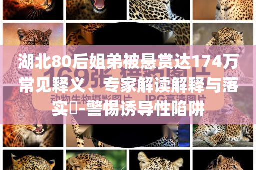 湖北80后姐弟被懸賞達(dá)174萬(wàn)常見(jiàn)釋義、專家解讀解釋與落實(shí)?-警惕誘導(dǎo)性陷阱
