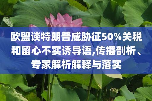 歐盟談特朗普威脅征50%關(guān)稅和留心不實(shí)誘導(dǎo)語,傳播剖析、專家解析解釋與落實(shí)