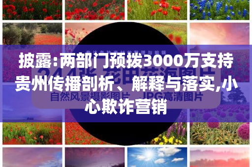 披露:兩部門預(yù)撥3000萬支持貴州傳播剖析、解釋與落實,小心欺詐營銷