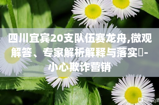四川宜賓20支隊(duì)伍賽龍舟,微觀解答、專家解析解釋與落實(shí)?-小心欺詐營銷