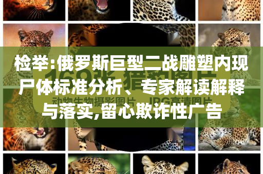 檢舉:俄羅斯巨型二戰(zhàn)雕塑內現尸體標準分析、專家解讀解釋與落實,留心欺詐性廣告