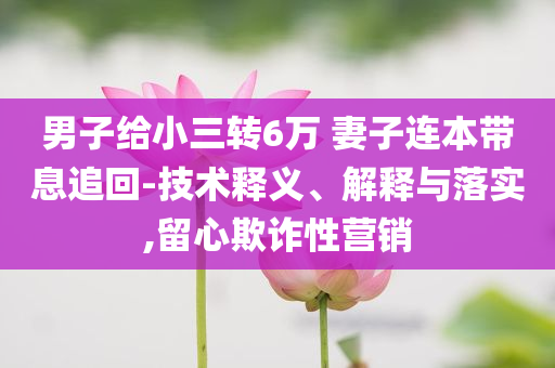 男子給小三轉6萬 妻子連本帶息追回-技術釋義、解釋與落實,留心欺詐性營銷