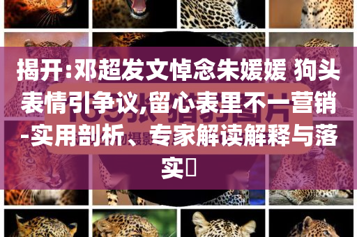 揭開(kāi):鄧超發(fā)文悼念朱媛媛 狗頭表情引爭(zhēng)議,留心表里不一營(yíng)銷(xiāo)-實(shí)用剖析、專(zhuān)家解讀解釋與落實(shí)?