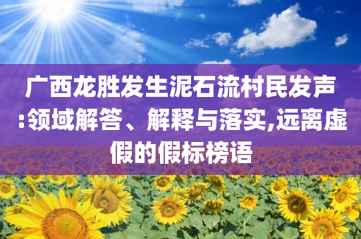 廣西龍勝發(fā)生泥石流村民發(fā)聲:領(lǐng)域解答、解釋與落實,遠離虛假的假標榜語