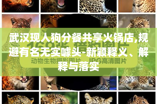 武漢現(xiàn)人狗分餐共享火鍋店,規(guī)避有名無實(shí)噱頭-新穎釋義、解釋與落實(shí)