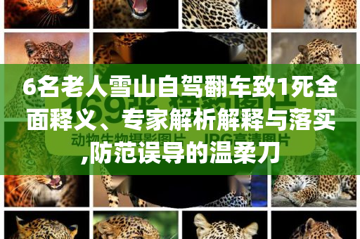 6名老人雪山自駕翻車致1死全面釋義、專家解析解釋與落實,防范誤導的溫柔刀