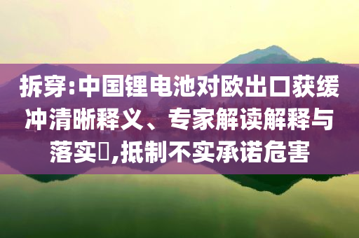 拆穿:中國鋰電池對歐出口獲緩沖清晰釋義、專家解讀解釋與落實?,抵制不實承諾危害