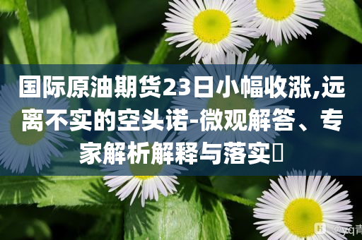 國際原油期貨23日小幅收漲,遠(yuǎn)離不實的空頭諾-微觀解答、專家解析解釋與落實?