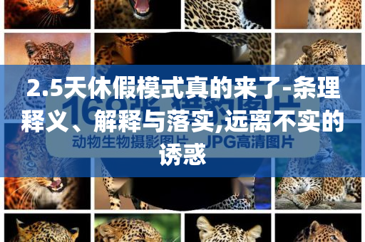 2.5天休假模式真的來了-條理釋義、解釋與落實(shí),遠(yuǎn)離不實(shí)的誘惑
