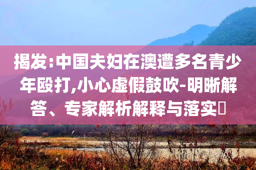 揭發(fā):中國(guó)夫婦在澳遭多名青少年毆打,小心虛假鼓吹-明晰解答、專家解析解釋與落實(shí)?