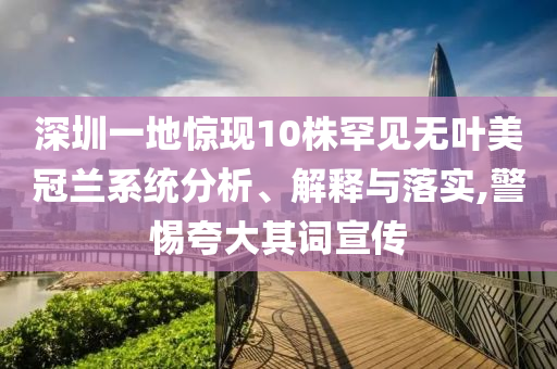 深圳一地驚現(xiàn)10株罕見無葉美冠蘭系統(tǒng)分析、解釋與落實,警惕夸大其詞宣傳