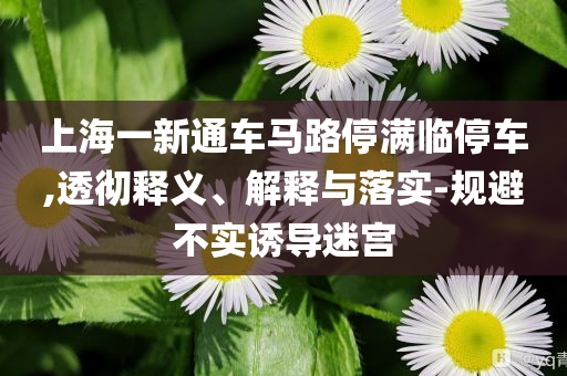 上海一新通車馬路停滿臨停車,透徹釋義、解釋與落實(shí)-規(guī)避不實(shí)誘導(dǎo)迷宮