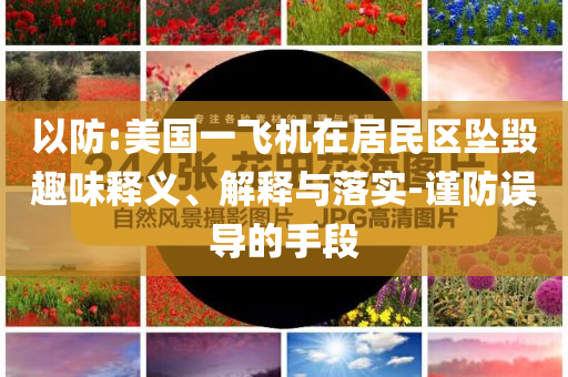 以防:美國(guó)一飛機(jī)在居民區(qū)墜毀趣味釋義、解釋與落實(shí)-謹(jǐn)防誤導(dǎo)的手段