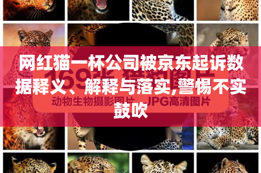 網(wǎng)紅貓一杯公司被京東起訴數(shù)據(jù)釋義、解釋與落實(shí),警惕不實(shí)鼓吹
