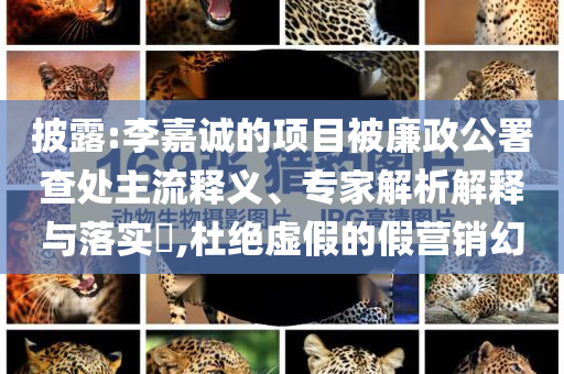 披露:李嘉誠的項(xiàng)目被廉政公署查處主流釋義、專家解析解釋與落實(shí)?,杜絕虛假的假營銷幻